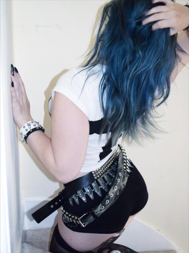 Image of @x.bluejay.birdy.x